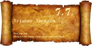 Trieber Terézia névjegykártya